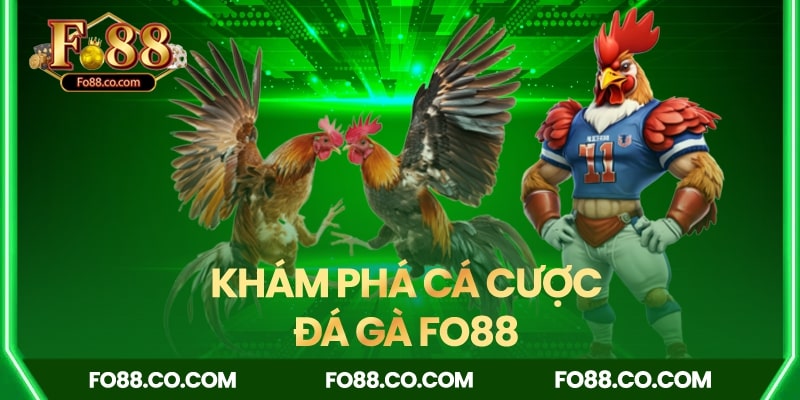 Khám phá sảnh game cá cược đá gà Fo88