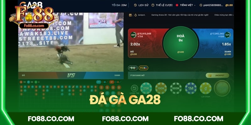 Đá gà GA28 – Cuộc chiến kịch tính đỉnh cao tại Fo88