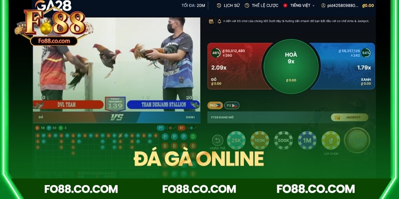 Đá gà truyền thống kết hợp livestream