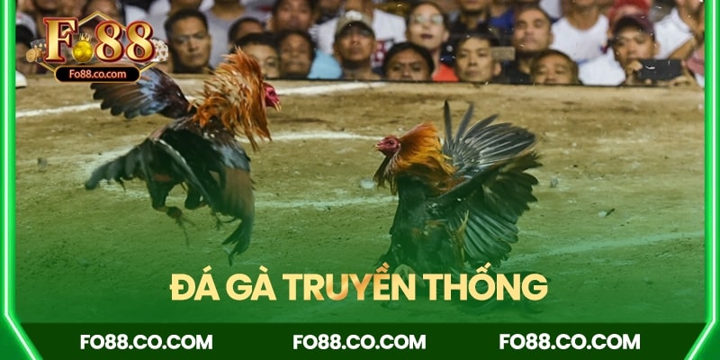 Đá gà thuần truyền thống