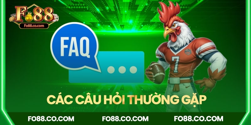 Giải đáp các câu hỏi thường gặp