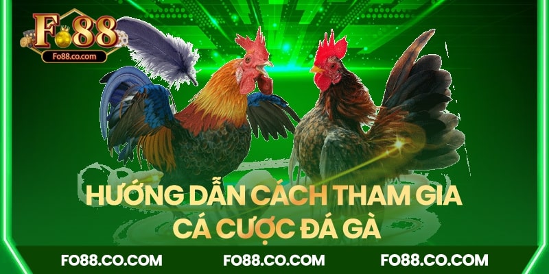 Hướng dẫn cách tham gia cá cược tại sảnh game fo88