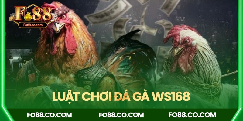 Chi tiết luật chơi đá gà WS168