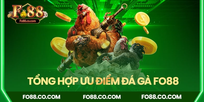 Tổng hợp các ưu điểm của đá gà Fo88