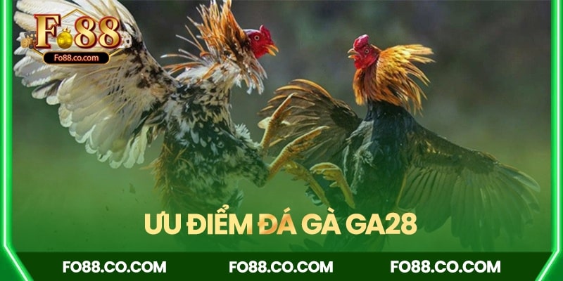 Tổng hợp ưu điểm của hệ thống đá gà GA28